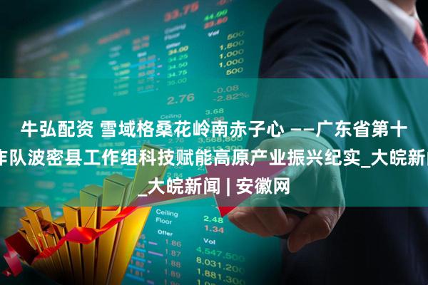 牛弘配资 雪域格桑花　岭南赤子心 ——广东省第十批援藏工作队波密县工作组科技赋能高原产业振兴纪实_大皖新闻 | 安徽网