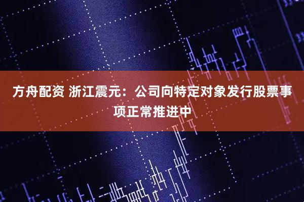 方舟配资 浙江震元：公司向特定对象发行股票事项正常推进中