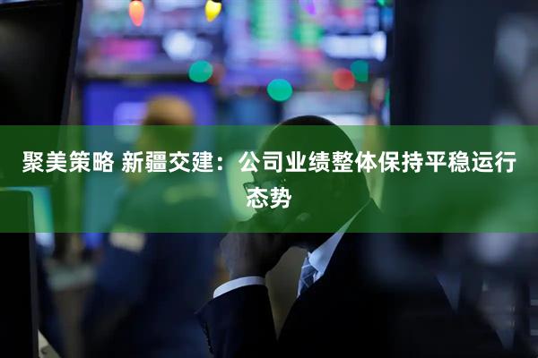 聚美策略 新疆交建：公司业绩整体保持平稳运行态势