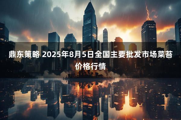 鼎东策略 2025年8月5日全国主要批发市场菜苔价格行情