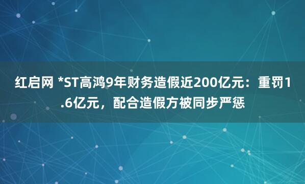 红启网 *ST高鸿9年财务造假近200亿元：重罚1.6亿元，配合造假方被同步严惩