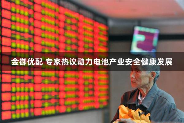 金御优配 专家热议动力电池产业安全健康发展