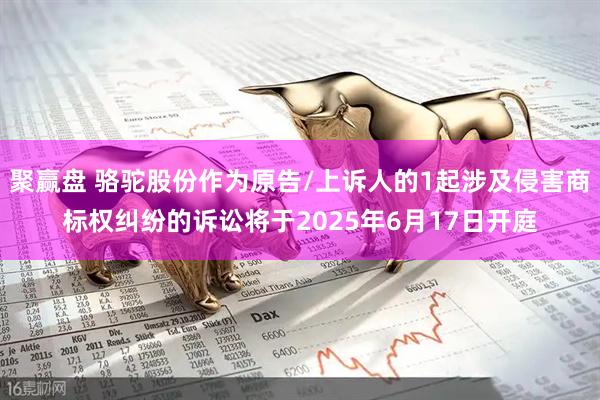 聚赢盘 骆驼股份作为原告/上诉人的1起涉及侵害商标权纠纷的诉讼将于2025年6月17日开庭