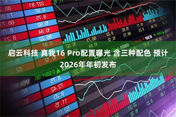启云科技 真我16 Pro配置曝光 含三种配色 预计2026年年初发布
