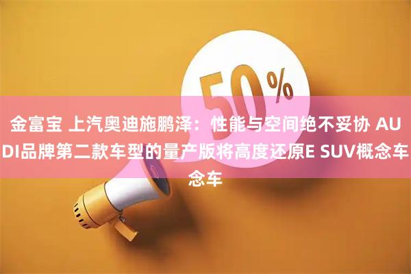 金富宝 上汽奥迪施鹏泽:性能与空间绝不妥协 AUDI品牌第二款车型的量产版将高度还原E SUV概念车