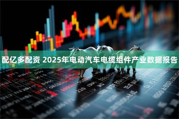 配亿多配资 2025年电动汽车电缆组件产业数据报告